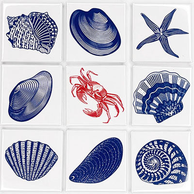 Set of 9 Sea Life Line Drawing Magnets – Support Lyla's Dream!